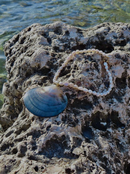 Muschel Kette (name überlegen)